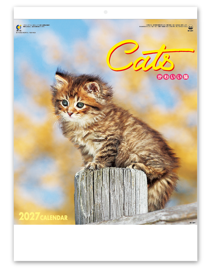 かわいい猫