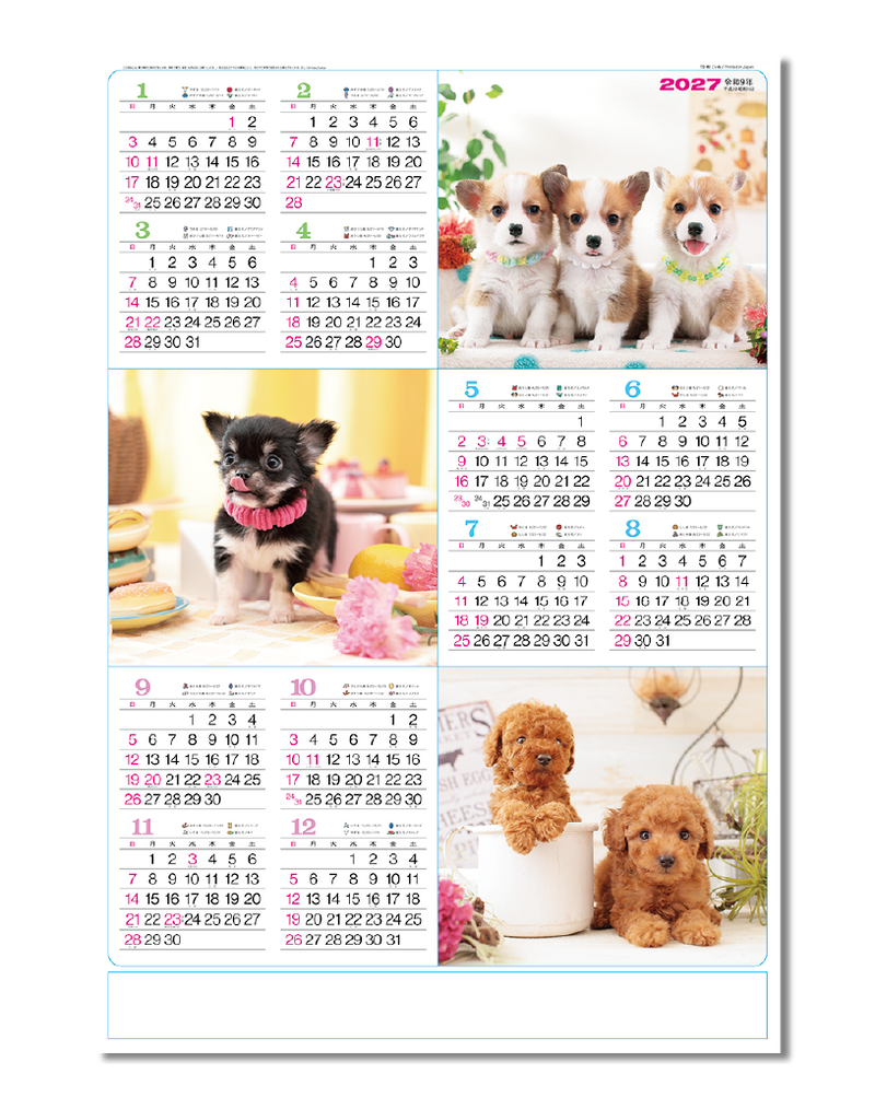 年表 こいぬ