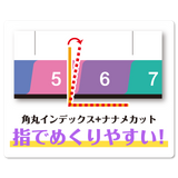 パステルインデックス 17