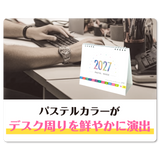 ﾊﾟｽﾃﾙｲﾝﾃﾞｯｸｽ　白台紙