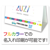 ﾊﾟｽﾃﾙｲﾝﾃﾞｯｸｽ　白台紙