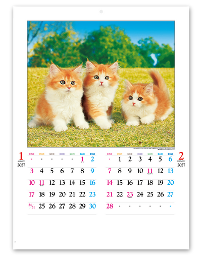 かわいい猫 2