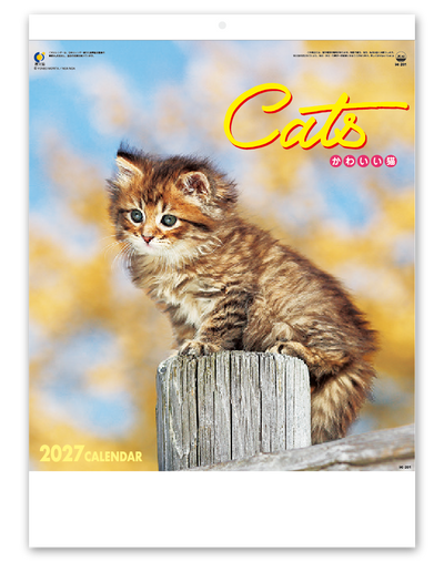 かわいい猫