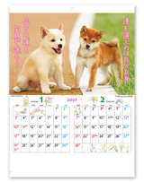 こいぬのきもち 2