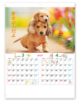 こいぬのきもち 3