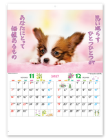 こいぬのきもち 7