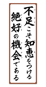 行雲流水（ヒモ付） 11