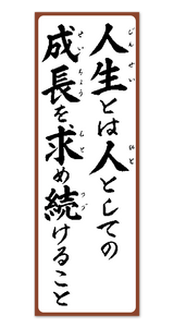 行雲流水（ヒモ付） 13