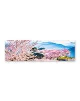 季節のパノラマ（小） 7