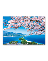 四季物語 7