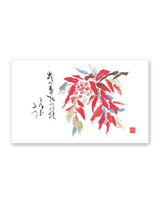 春秋 14