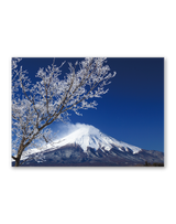 富士十二景 14