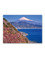 富士十二景 4