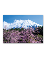 富士十二景 6