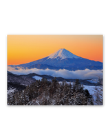 和の彩り 3