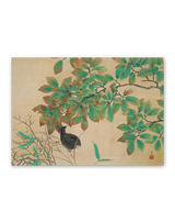 横山大観作品集 7