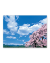 SORA-空- 6