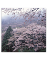 ﾌｨﾙﾑ　四季　前田真三・前田晃作品集 3