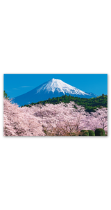 富士-麗峰の四季（2か月文字） 4