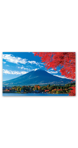 富士-麗峰の四季（2か月文字） 7