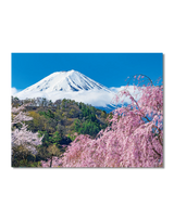 富士山[世界文化遺産] 4