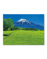 富士山[世界文化遺産] 5