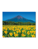 富士山[世界文化遺産] 6