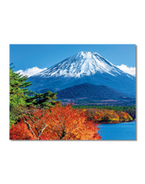 富士山[世界文化遺産] 7