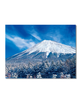 富士山[世界文化遺産] 8