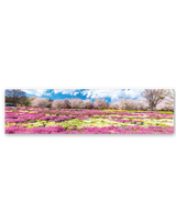 パノラマ・日本 7