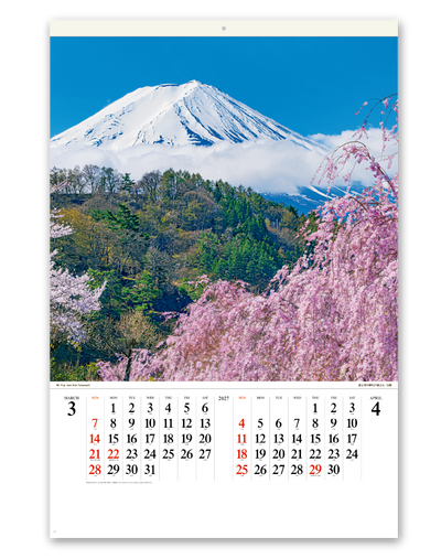 ﾌｨﾙﾑ　富士山 2