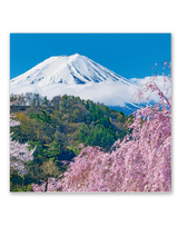 ﾌｨﾙﾑ　富士山 4
