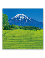 ﾌｨﾙﾑ　富士山 5
