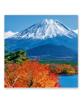 ﾌｨﾙﾑ　富士山 7