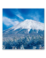 ﾌｨﾙﾑ　富士山 8
