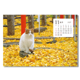卓上猫さんぽ〔ワイド〕 13