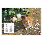 卓上猫さんぽ〔ワイド〕 14
