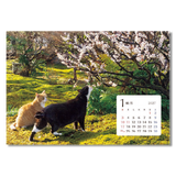 卓上猫さんぽ〔ワイド〕 3