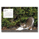 卓上猫さんぽ〔ワイド〕 4