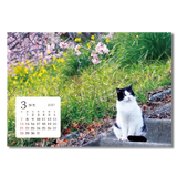 卓上猫さんぽ〔ワイド〕 5