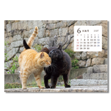 卓上猫さんぽ〔ワイド〕 8