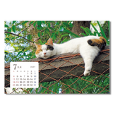卓上猫さんぽ〔ワイド〕 9