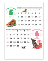 DOG・DOG・DOG 4