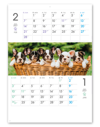 THE　DOGS　ミシン目入り 2
