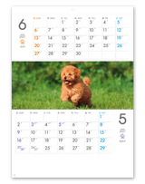 THE　DOGS　ミシン目入り 4