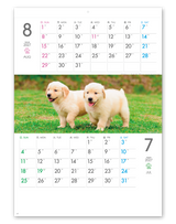 THE　DOGS　ミシン目入り 5