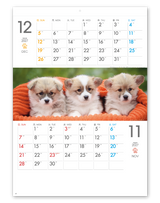 THE　DOGS　ミシン目入り 7