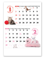 ＣＡＴ・ＣＡＴ・ＣＡＴ 2