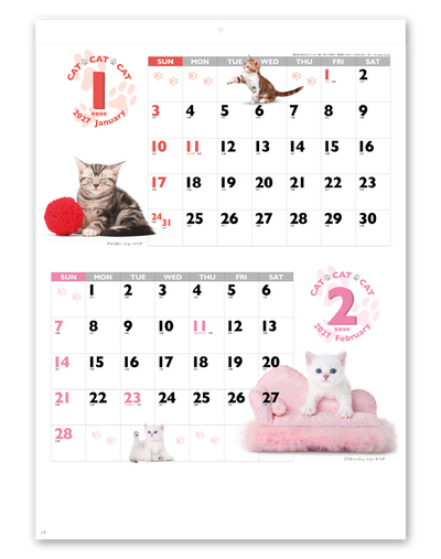 ＣＡＴ・ＣＡＴ・ＣＡＴ 2