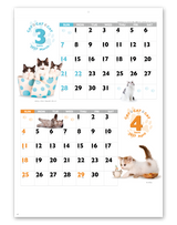 ＣＡＴ・ＣＡＴ・ＣＡＴ 3
